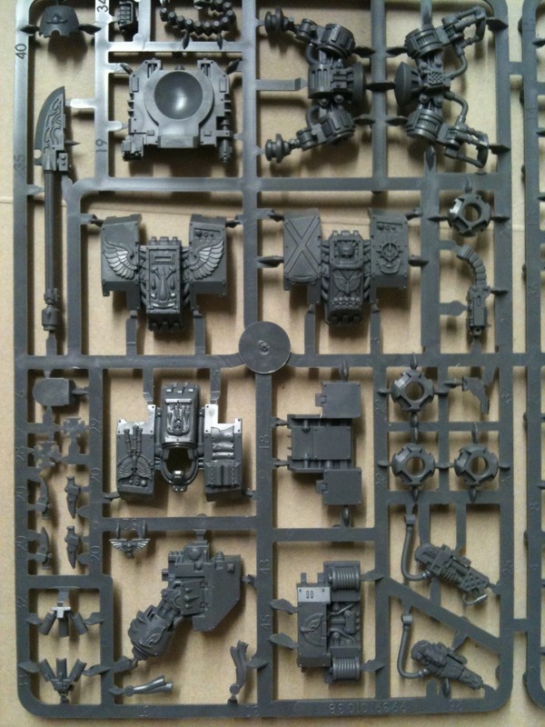 WH_dreadsprue1.jpg
