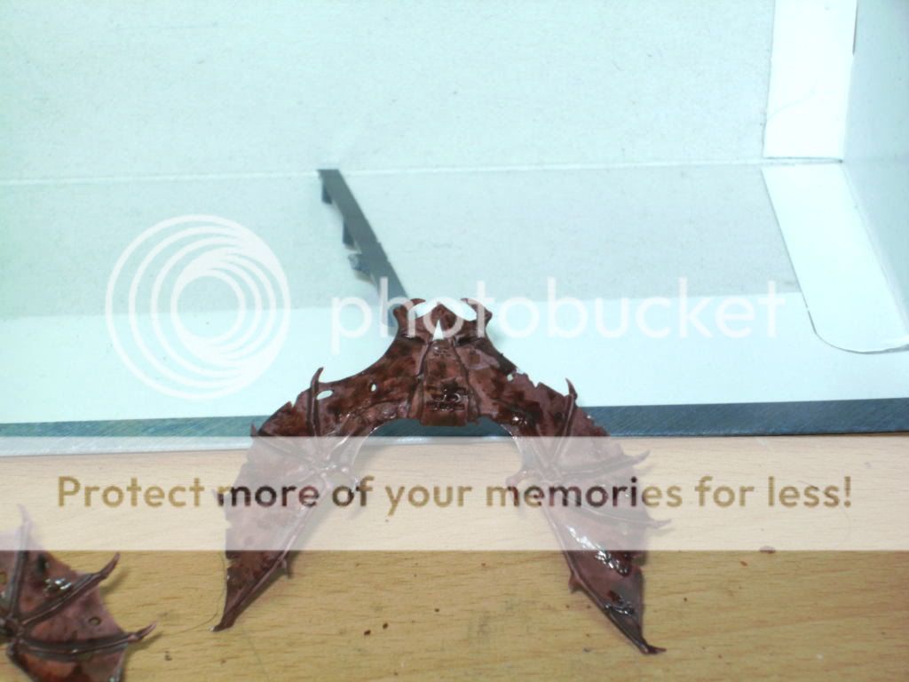 BILD2041.jpg