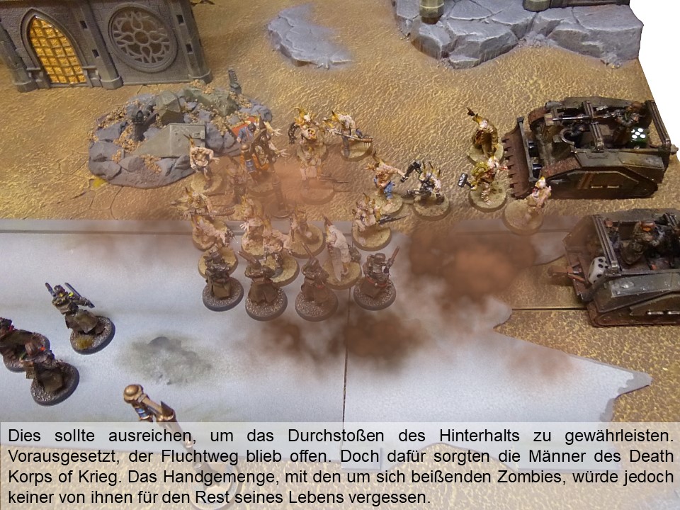 33667761nc.jpg