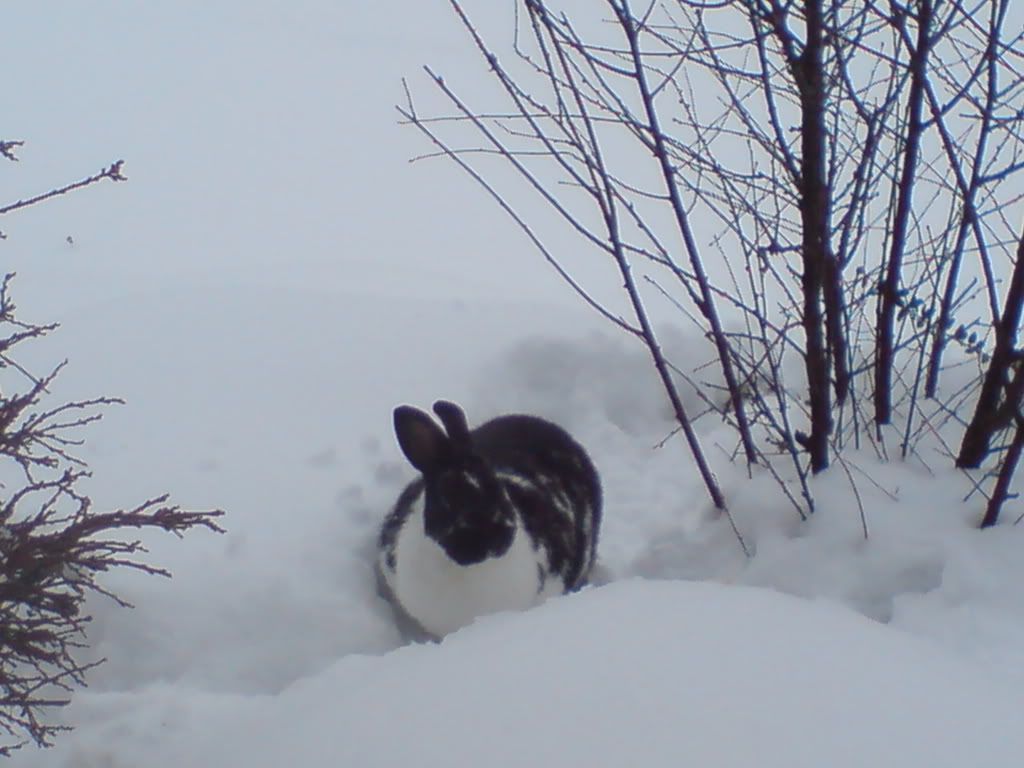 DSC00215.jpg