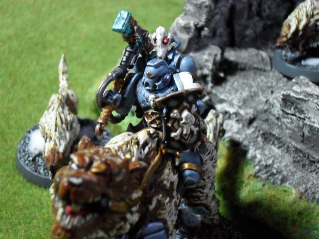 D5pv4.jpg