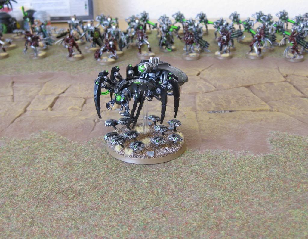 spinne1.jpg