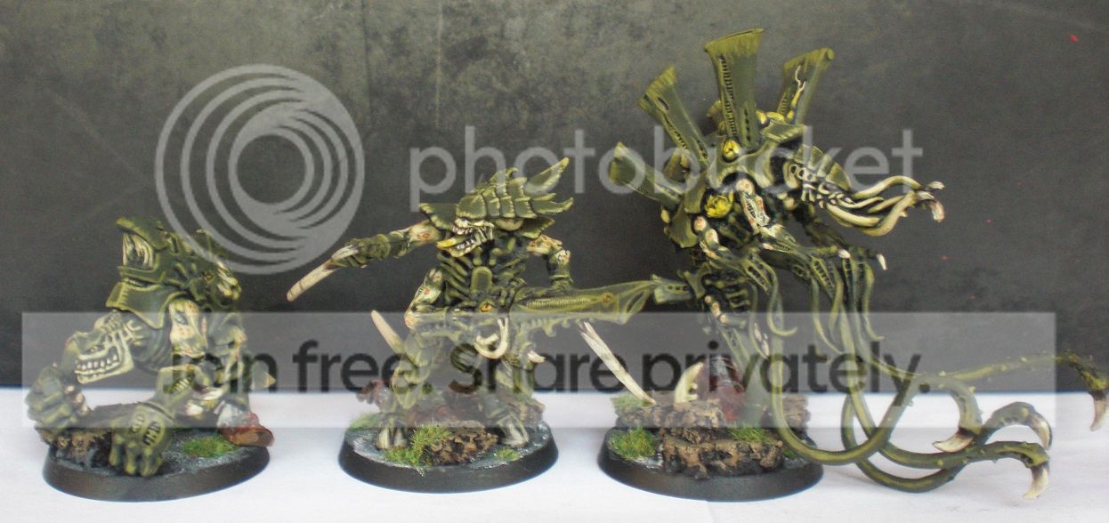 CIMG0175_zps3aremckf.jpg