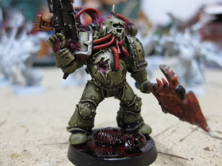 dg8.jpg