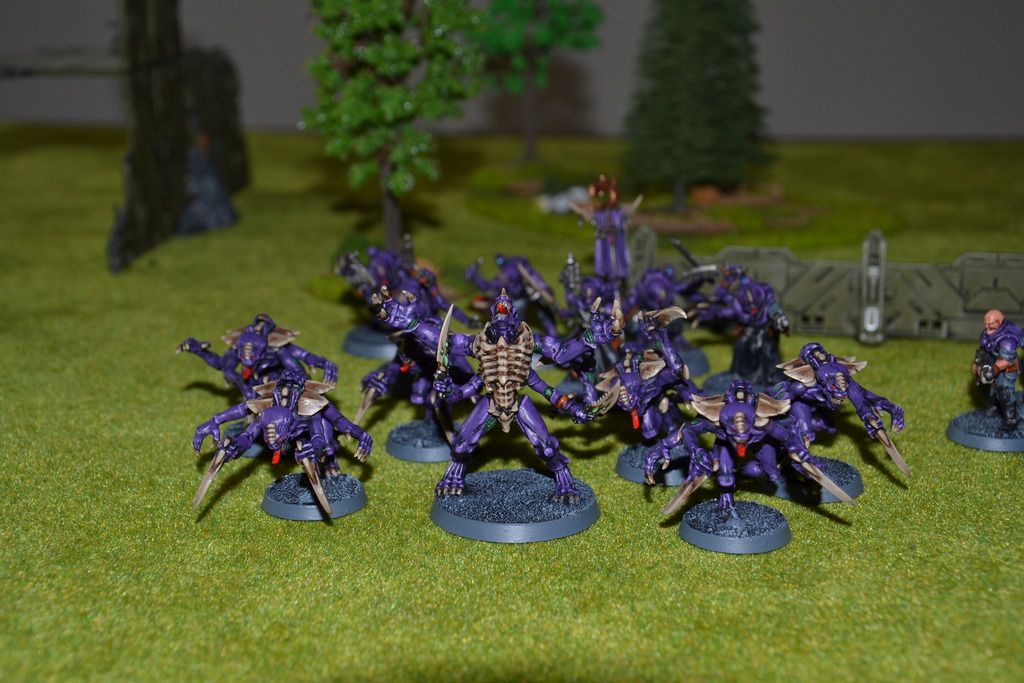 DSC_0082_zpsxmdradck.jpg