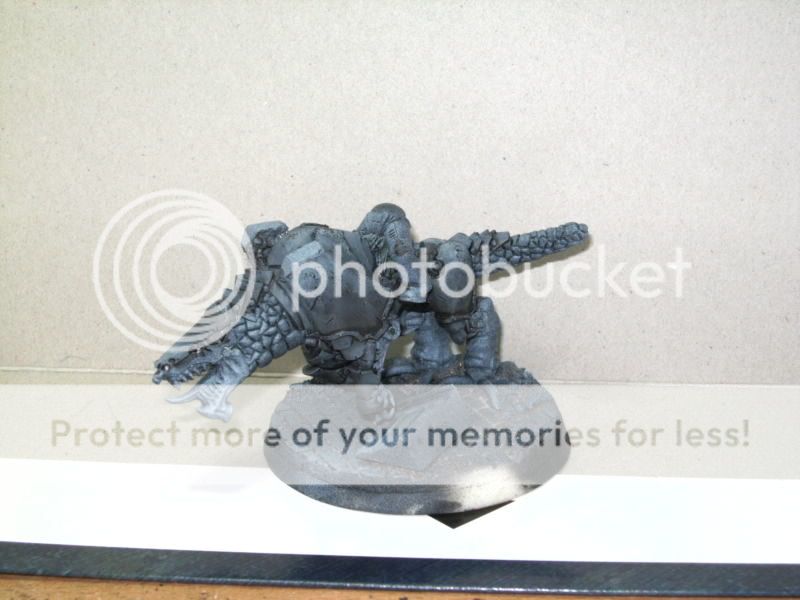 BILD2746.jpg