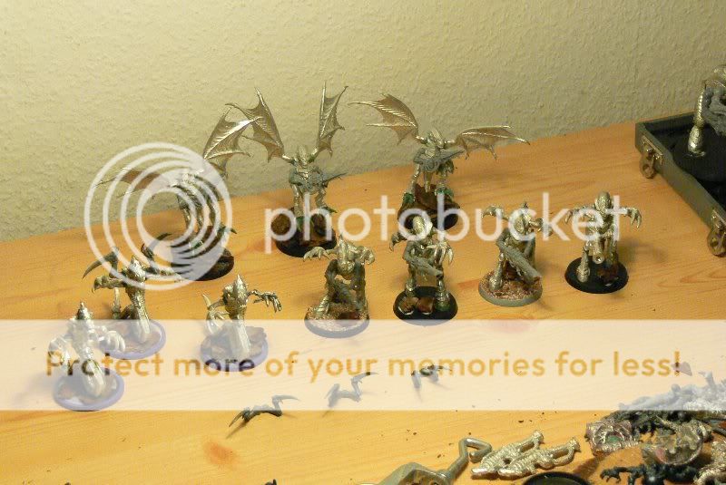 P1070561_800x535.jpg