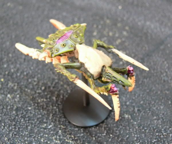 Ccruiser1.jpg
