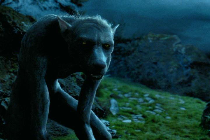 Werewolf.jpg