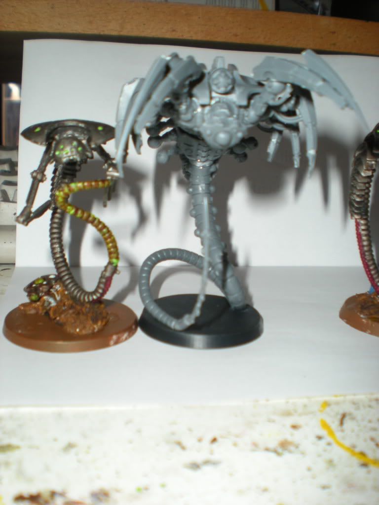 DSCN4596.jpg