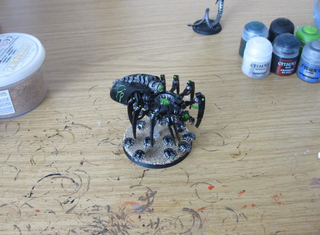 spinne.jpg
