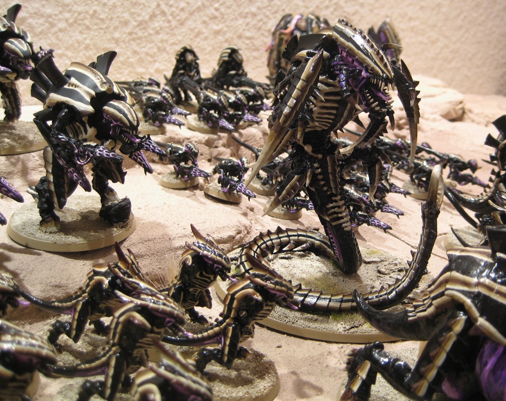 trygon.jpg