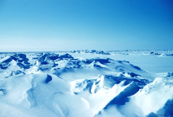 20090116195812%21Sea_ice_terrain.jpg