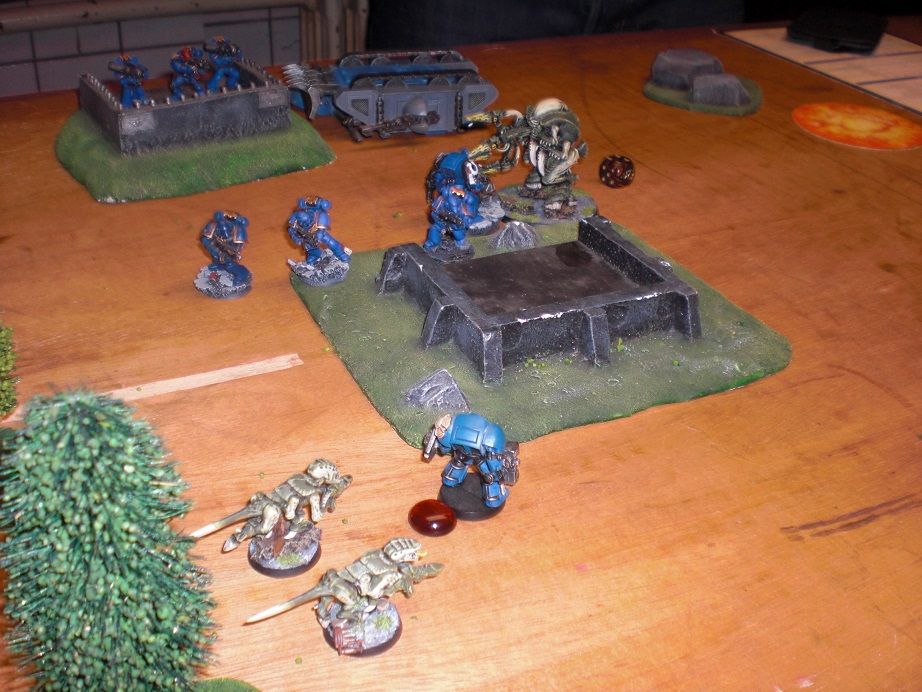 CIMG9157_zps0ysw0gca.jpg