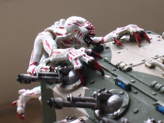IMGA0510.jpg