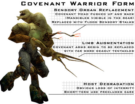 covenant.jpg