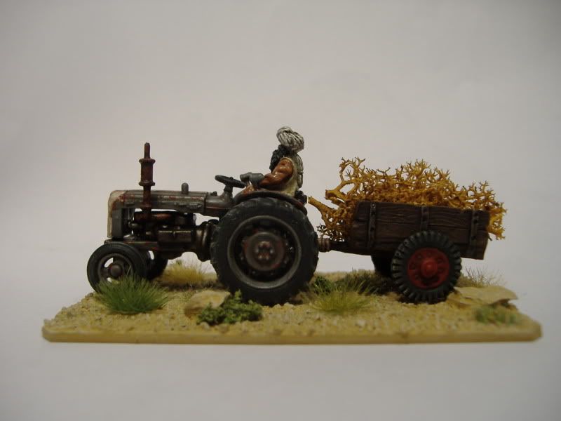 DSCF1061.jpg