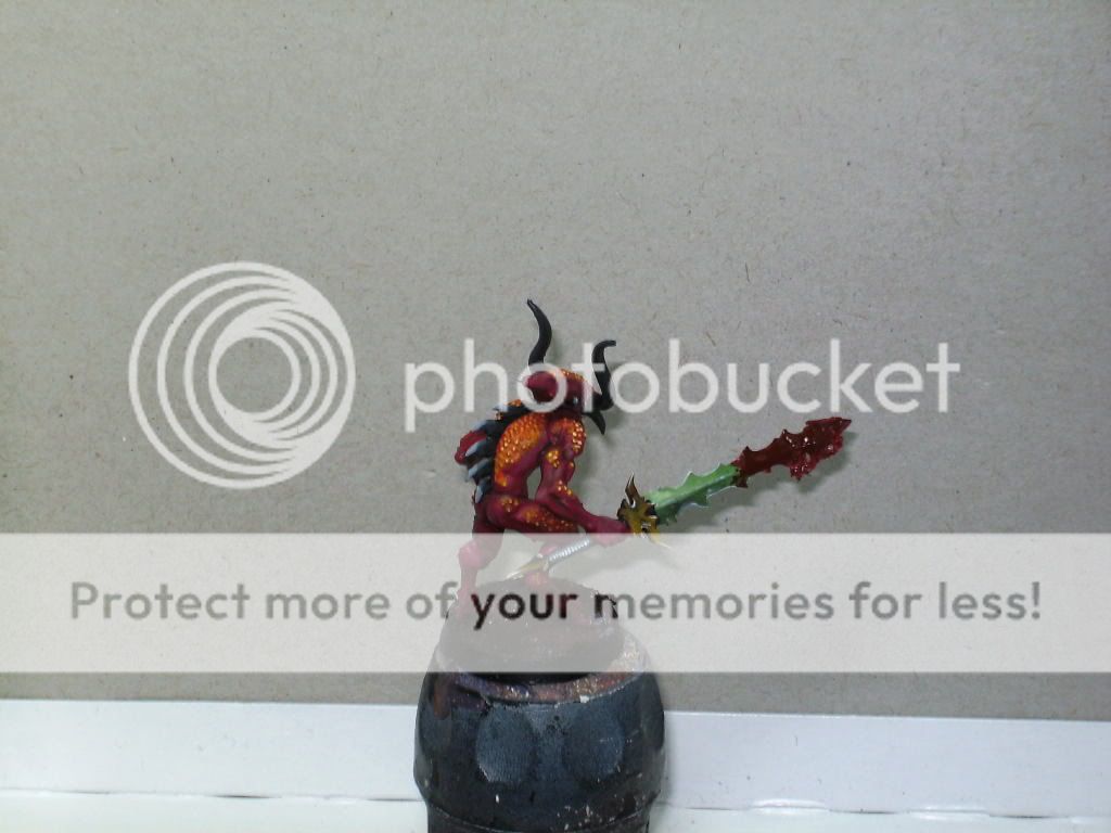BILD1622.jpg