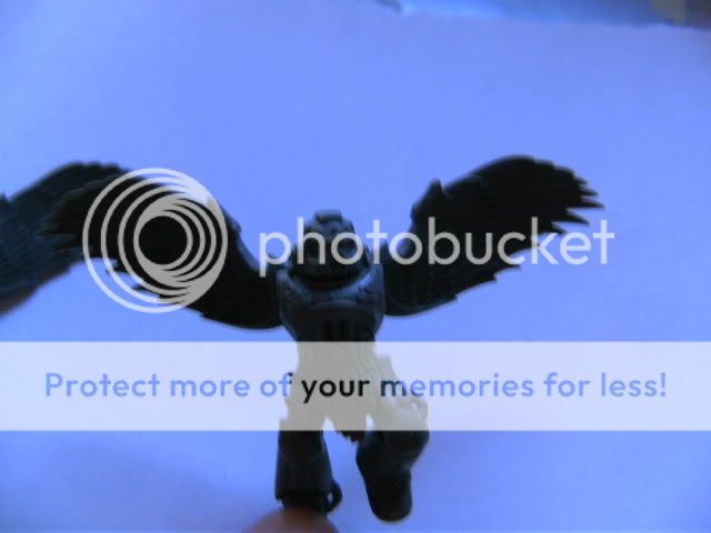 BILD0664.jpg