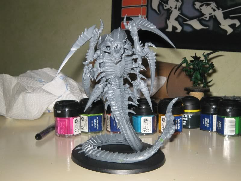 Trygon_Komplett_2.jpg