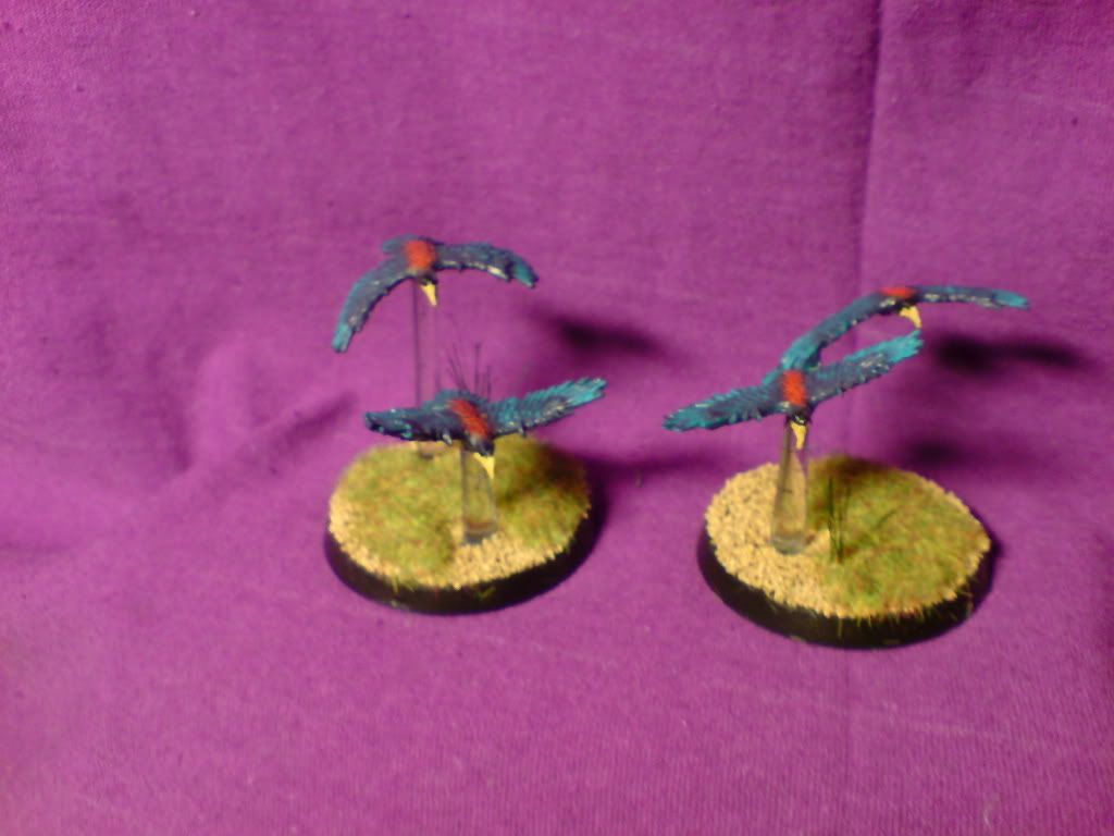 Razorwing2.jpg
