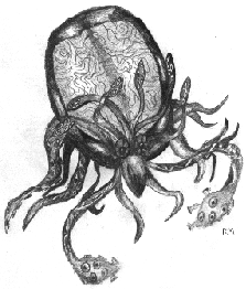 octavore.gif