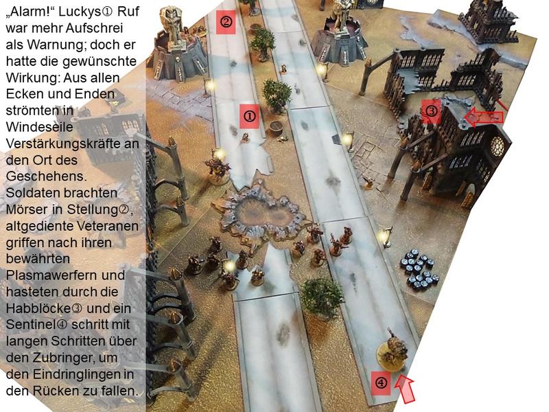 31305049hs.jpg