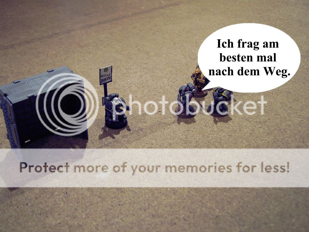 09.jpg