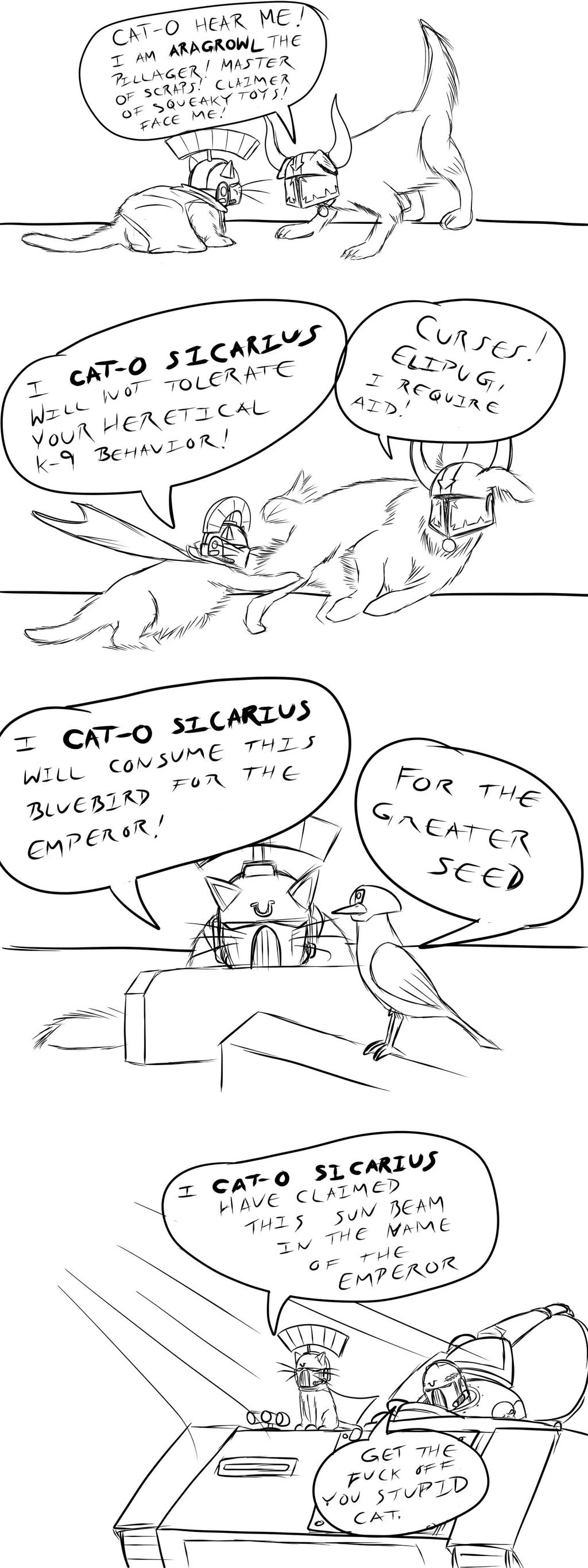 dT6doga.jpeg
