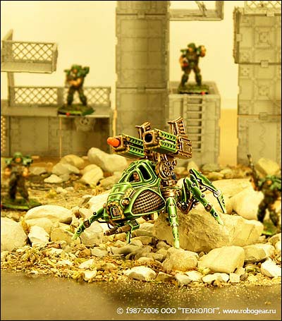 spider.jpg