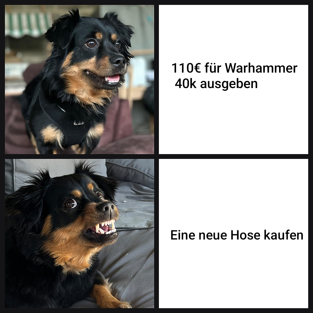 ff85ee57b81cf2cc.jpg