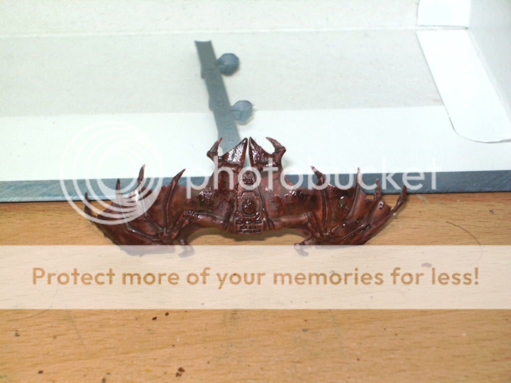 BILD2042.jpg