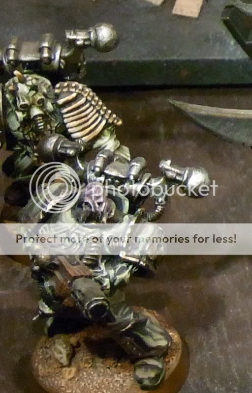 CSM1.jpg