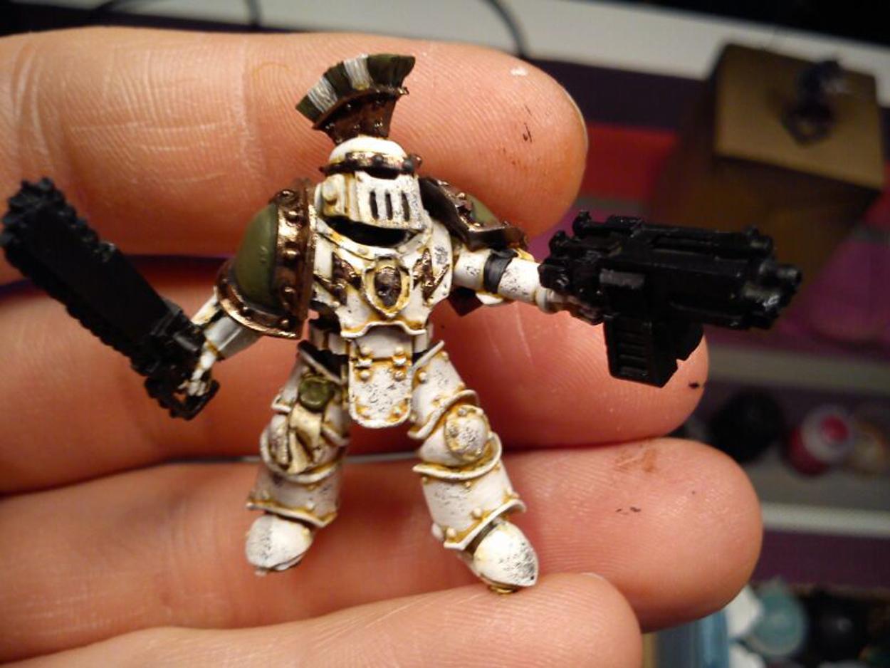 dgmarine.jpg