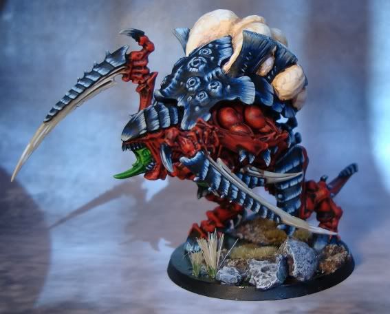 Tervigon1-2.jpg