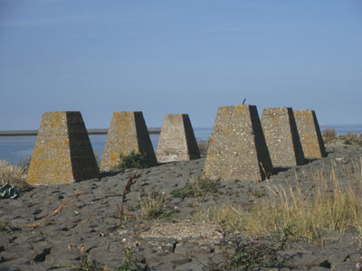 D0320_B17.jpg