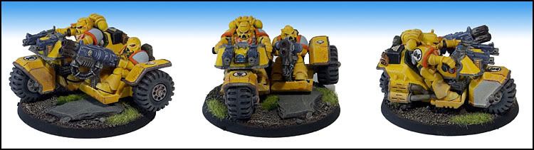 trike_alt_sampler.jpg