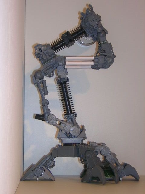 DSCN1153.jpg