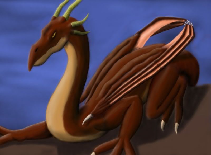 dragon1.jpg
