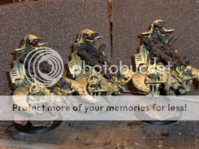 CIMG0678.jpg