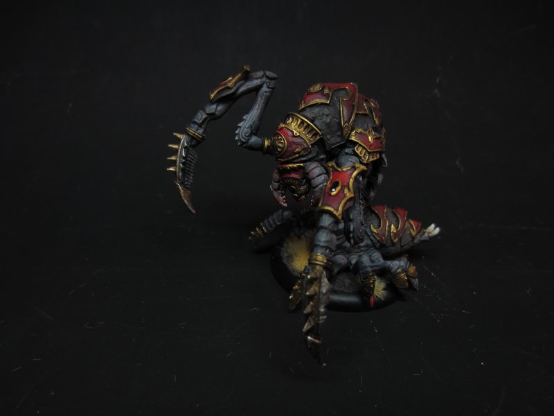 42312667ly.jpg
