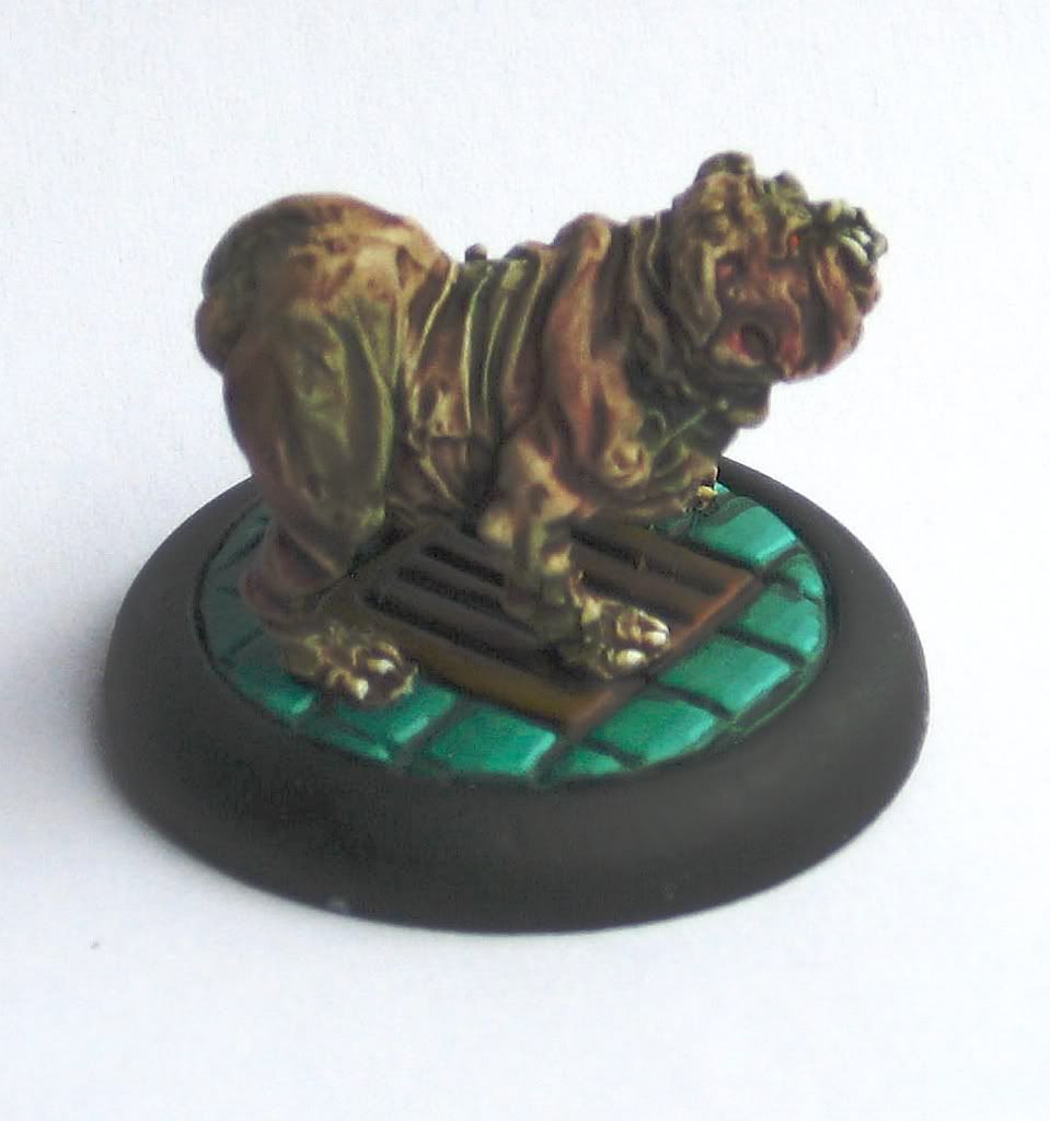 Hund1.jpg