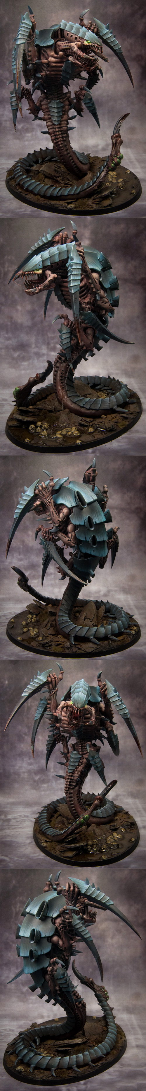 trygon.jpg