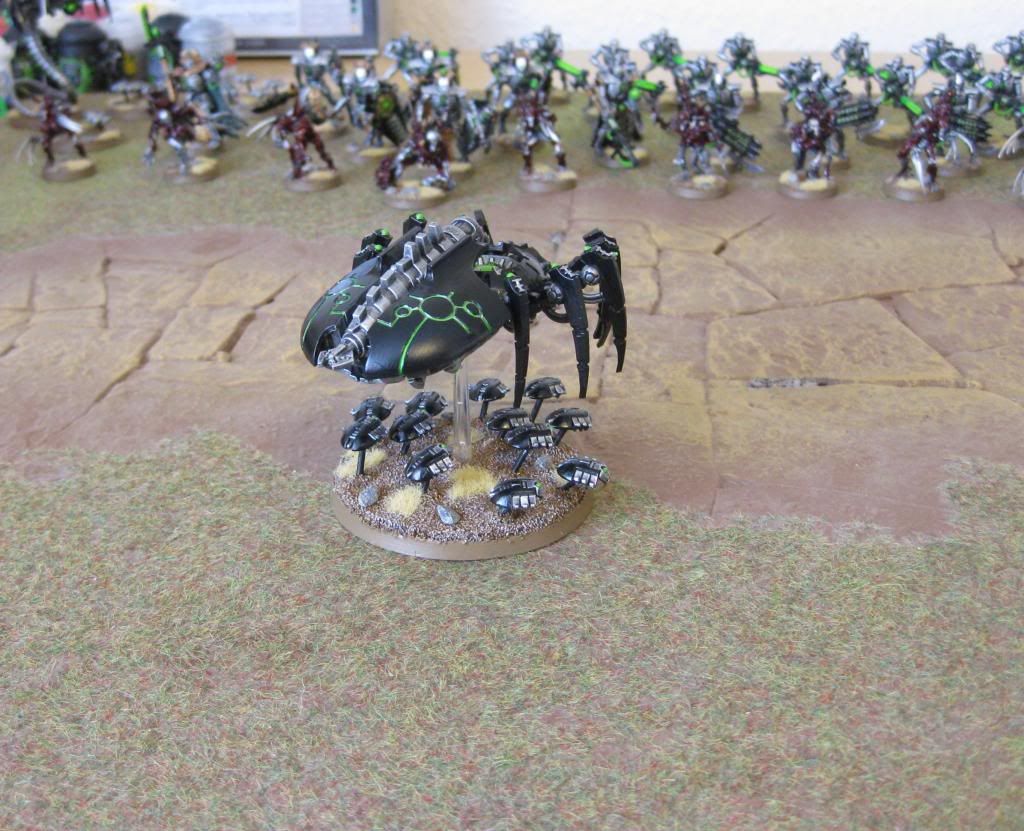 spinne2.jpg