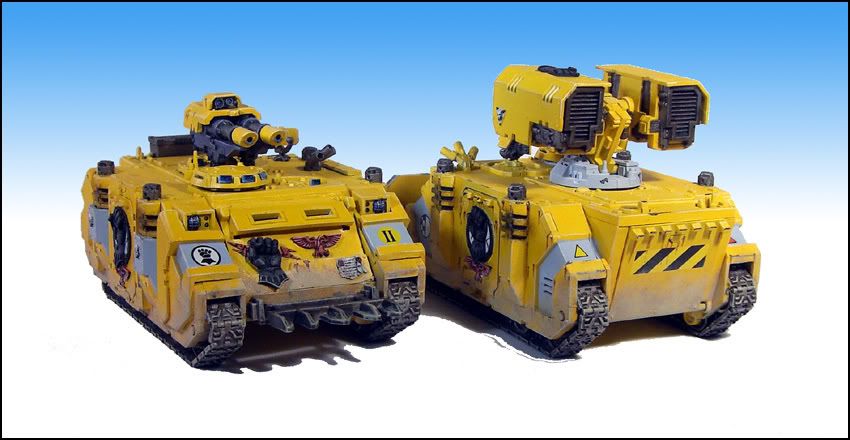 razorback_12.jpg