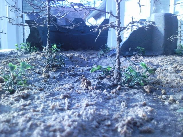 Foto0408.jpg