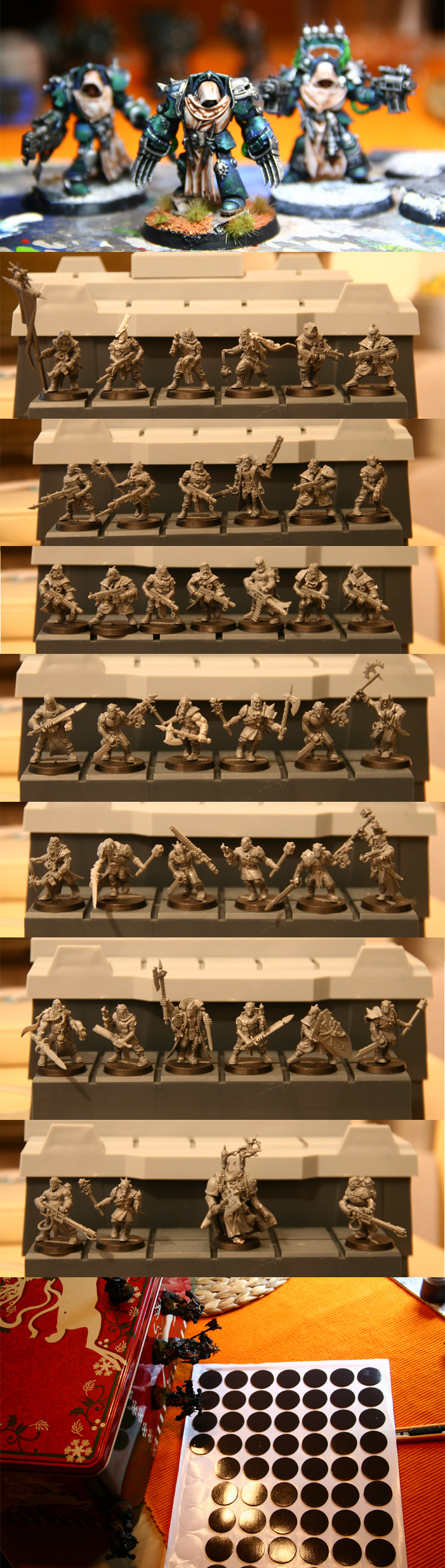 wips1.jpg