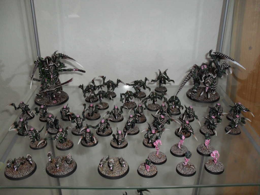 Tyraniden1.jpg
