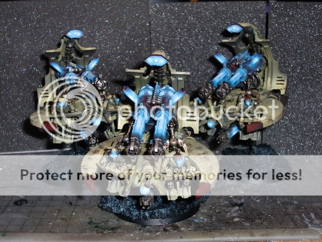 CIMG0681.jpg