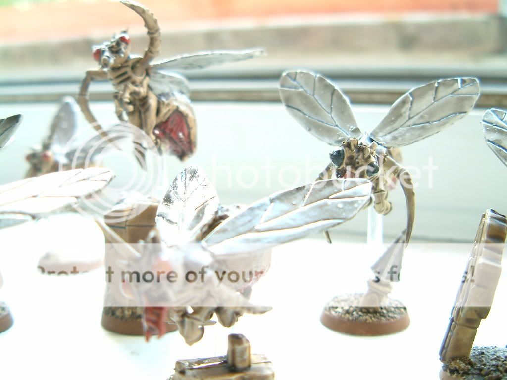DSCF0069.jpg